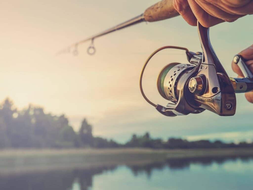 Tipos De Pesca E Tudo Que Você Precisa Saber Para Pescar Com Sua Lancha ...