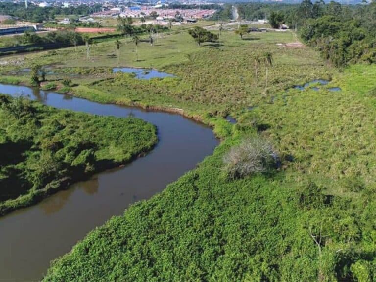 estabilizacao-e-revitalizacao-do-rio-juqueriquere