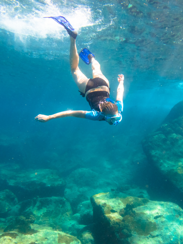 Mergulho em Ilhabela: Saiba tudo aqui!