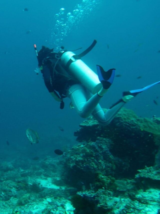Conheça a prática de mergulho e tudo que você precisa para começar!