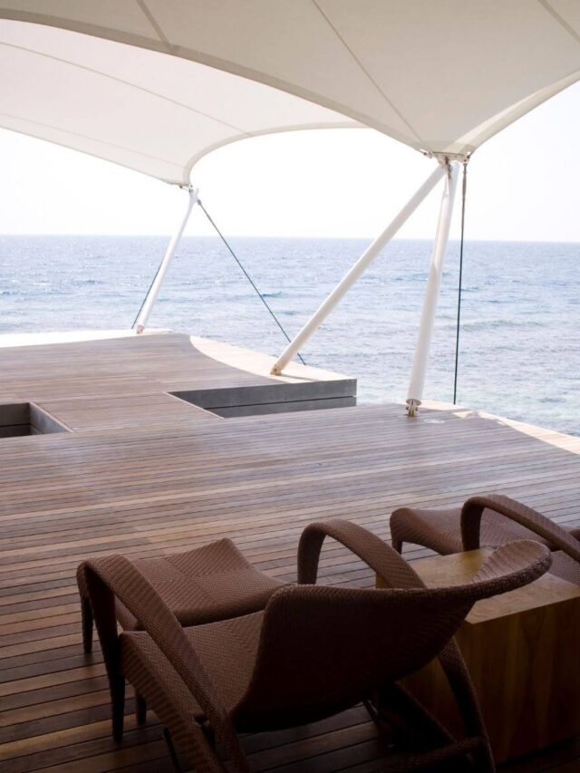 Teca sintética ou natural? Entenda a diferença!