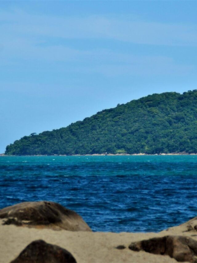 Ilha do Tamanduá: Conheça tudo sobre essa ilha!