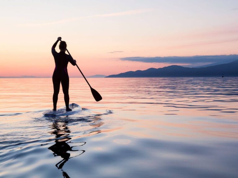 stand up paddle